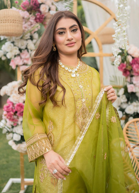 Ready to Wear - Mohagni Festive Pret Organza 3 Piece Suit